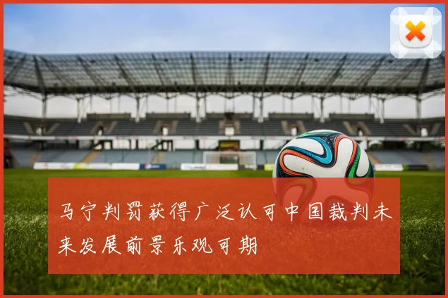 马宁判罚获得广泛认可中国裁判未来发展前景乐观可期